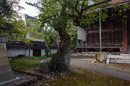 Kanazawa